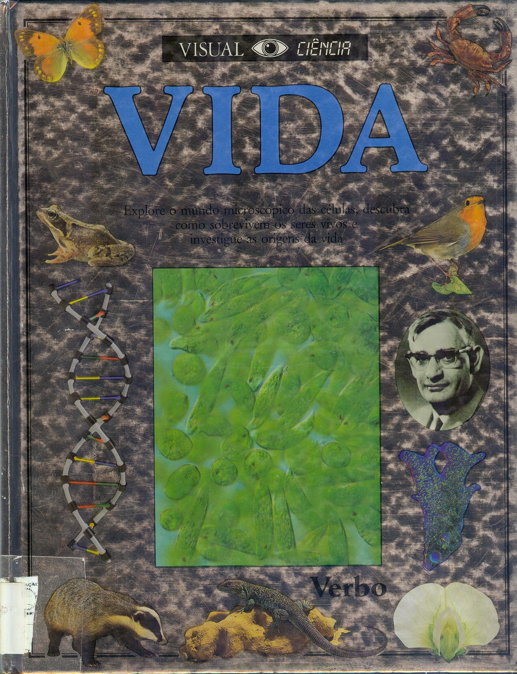 Vida